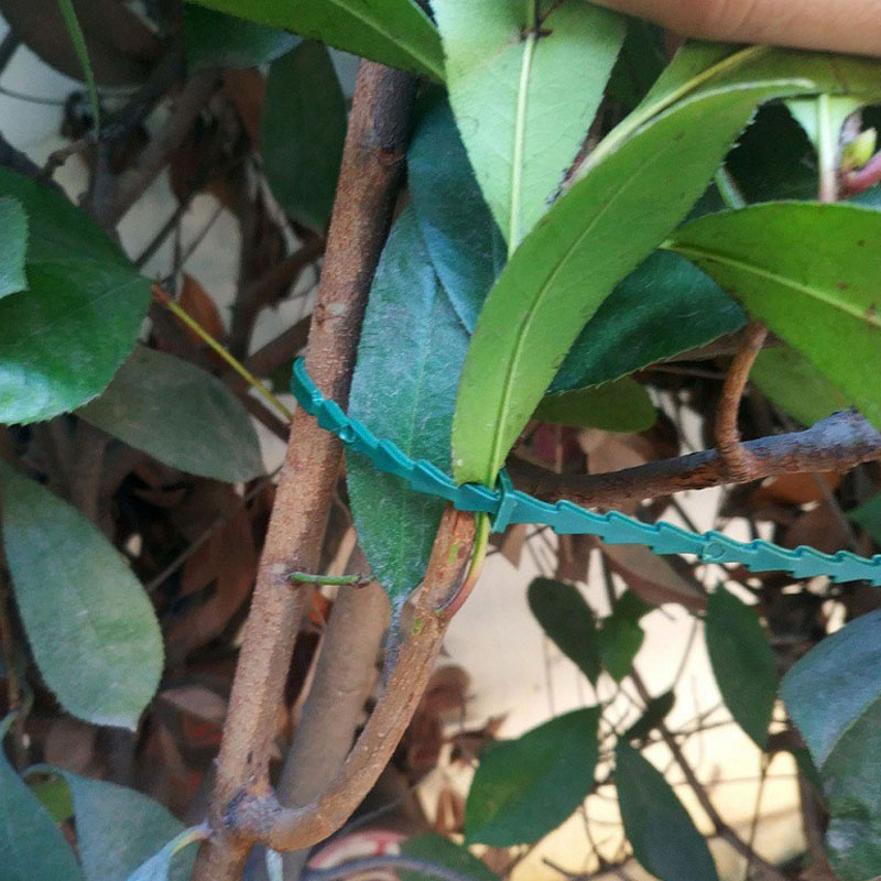 Vine Climbing Plastic - 13cm Adjustable Plastic Plant Cable Ties