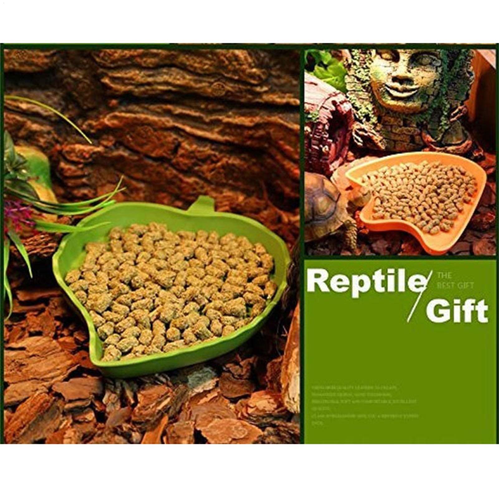 Turtle Feeding Bowl Reptile Fe – обзор и цена Water Dish Reptile
