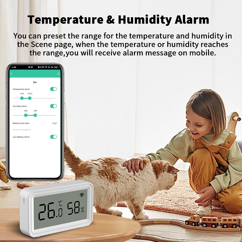 Tuya Zigbee WiFi Thermometer H – обзор и цена Digital Hygrometer Probe