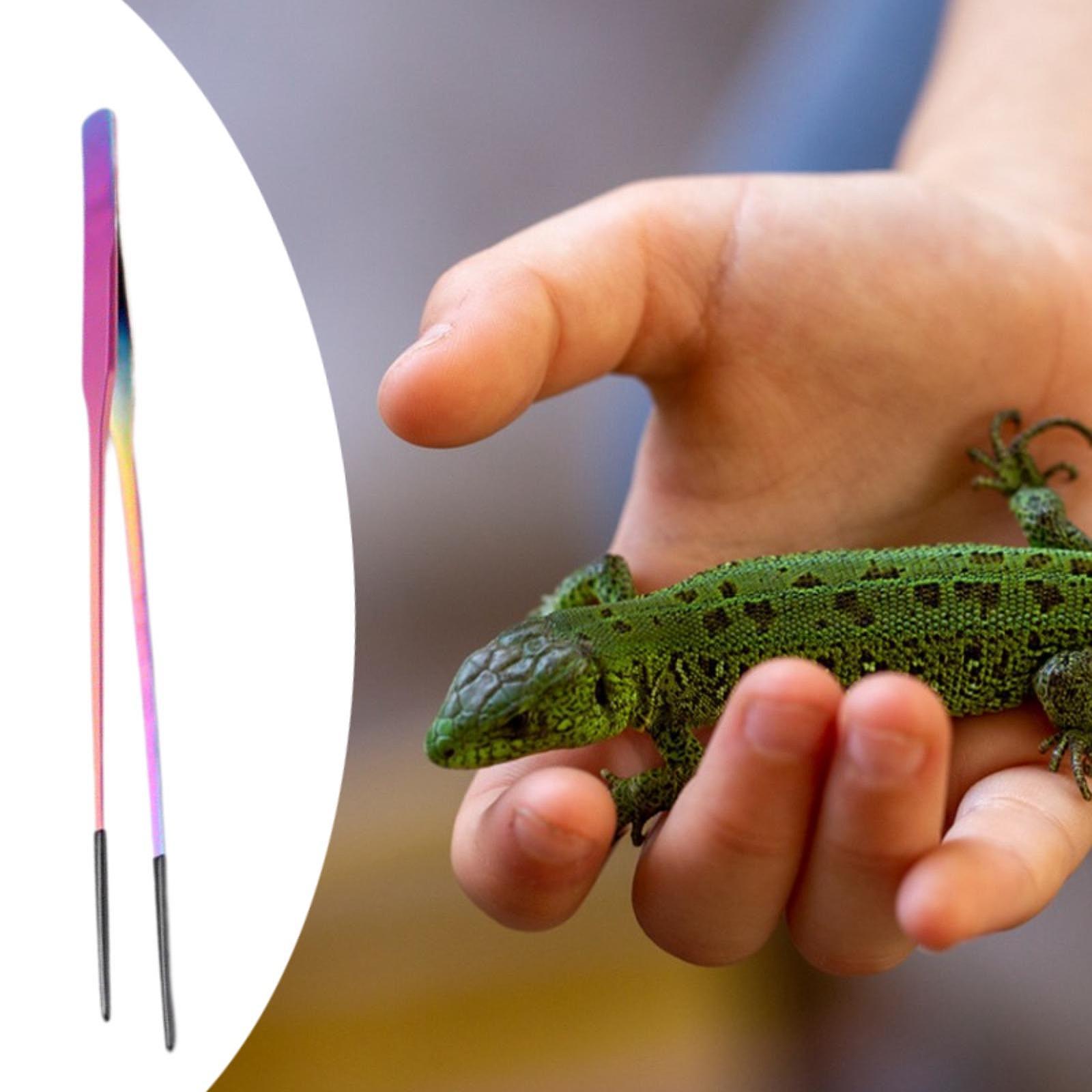 Terrarium Reptile Feeder Tongs – обзор и цена Feeding Tong Stainless