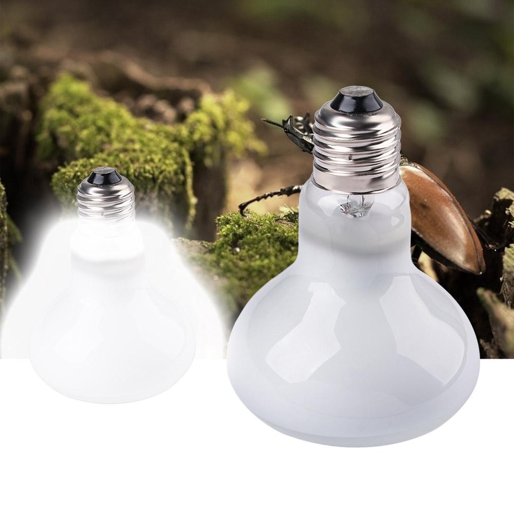 Amphibians Heater Temperature  – обзор и цена Basking Bulb Halogen