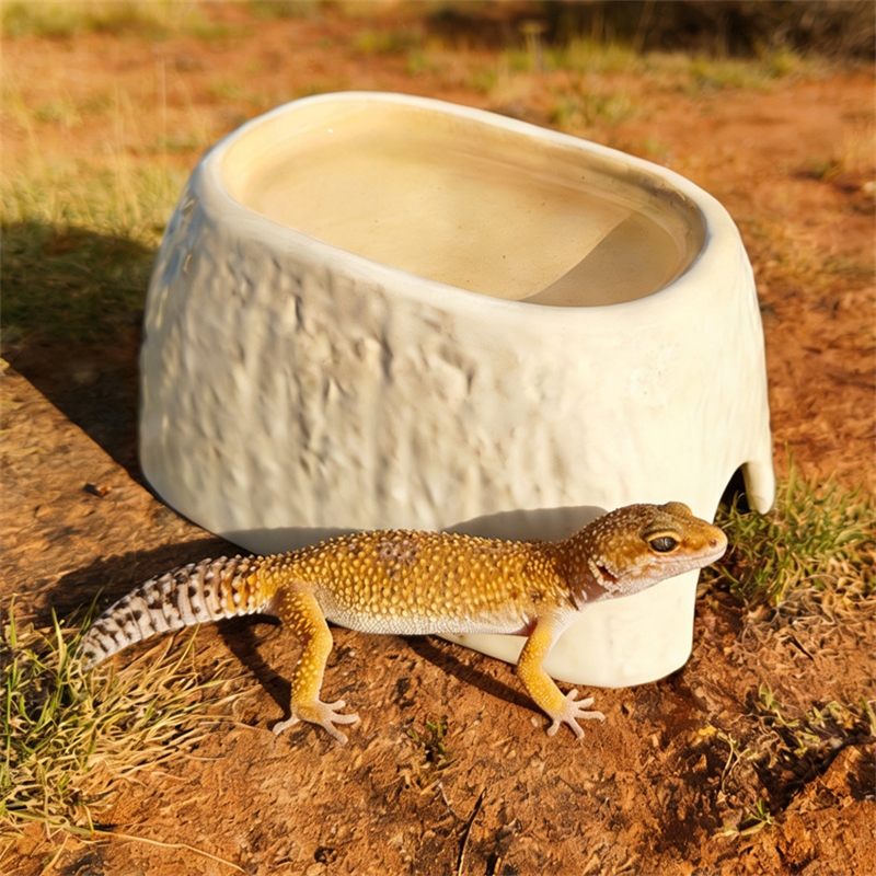 Ceramic Leopard Print Humid Hi – обзор и цена Hide Cave Ceramic