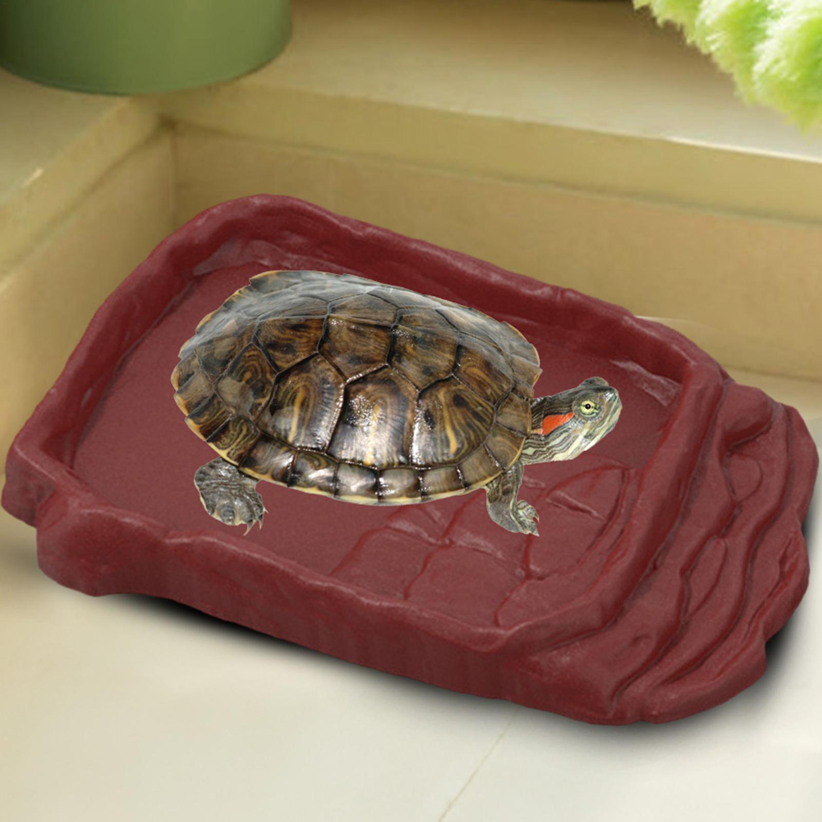 Turtle Water Dish With Anti-Sl – обзор и цена Water Dish Reptile