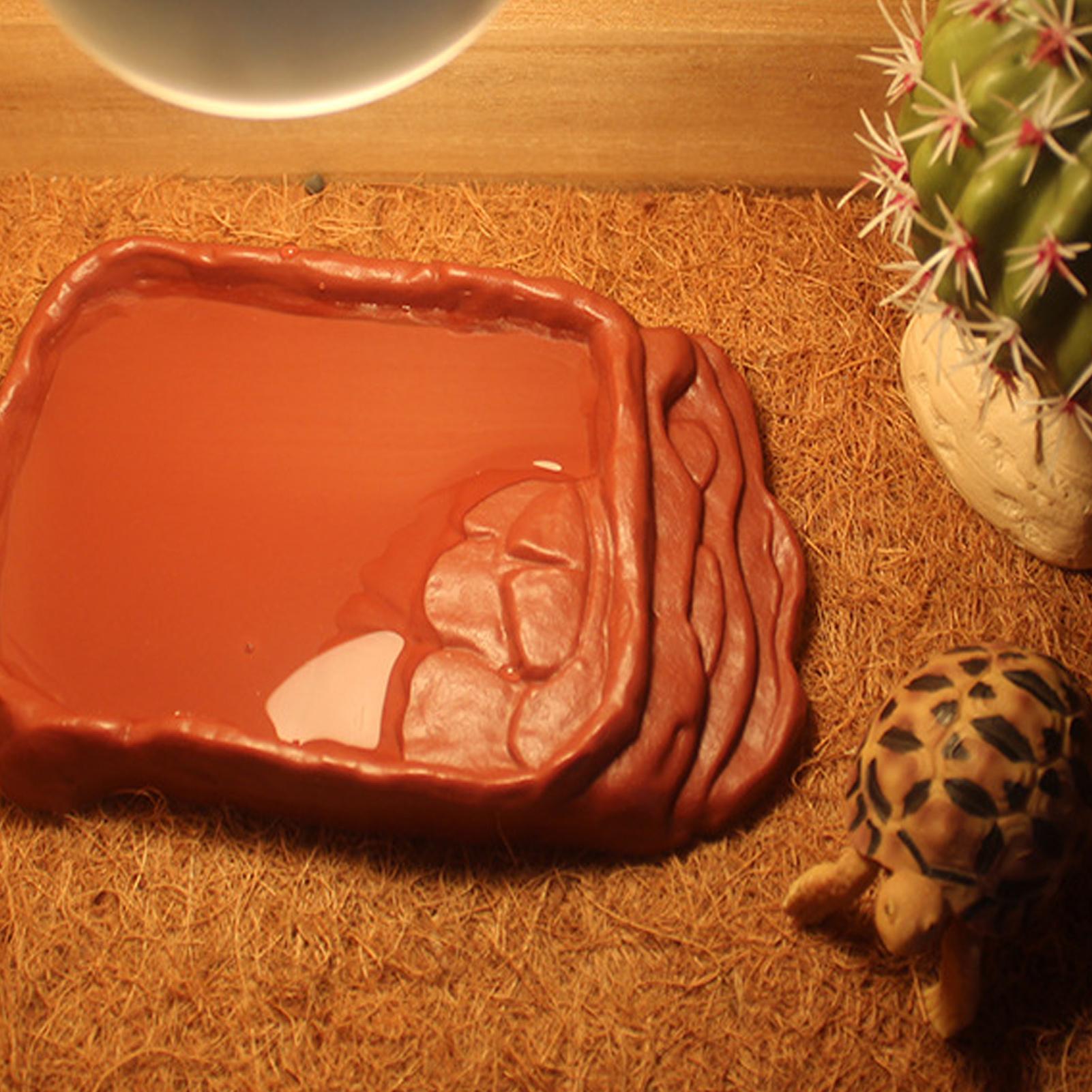 Turtle Water Dish With Anti-Sl – обзор и цена Water Dish Reptile
