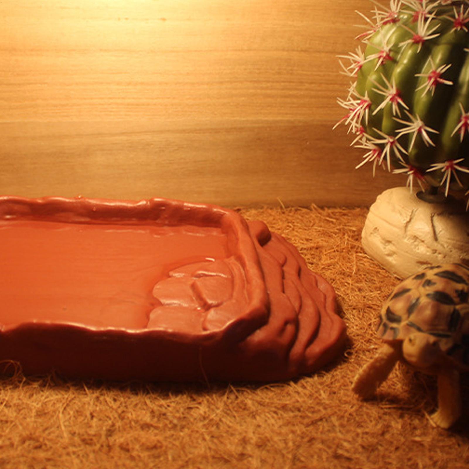 Turtle Water Dish With Anti-Sl – обзор и цена Water Dish Reptile