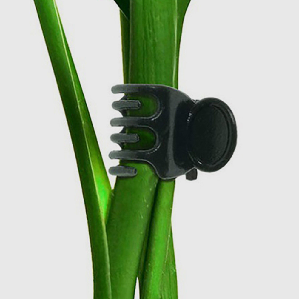 60Pcs Plant Support Clamps Pla – обзор и цена Vine Climbing Plastic