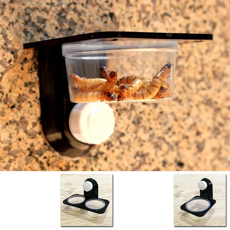 Reptile Tank Accessories Insec – обзор и цена Water Dish Reptile