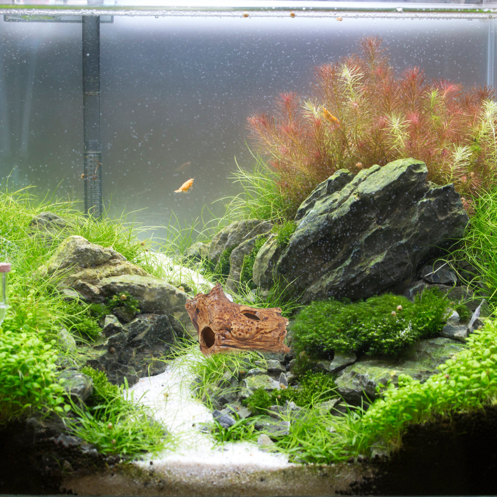 Premium Ceramic Aquarium Hides – обзор и цена Hide Cave Ceramic
