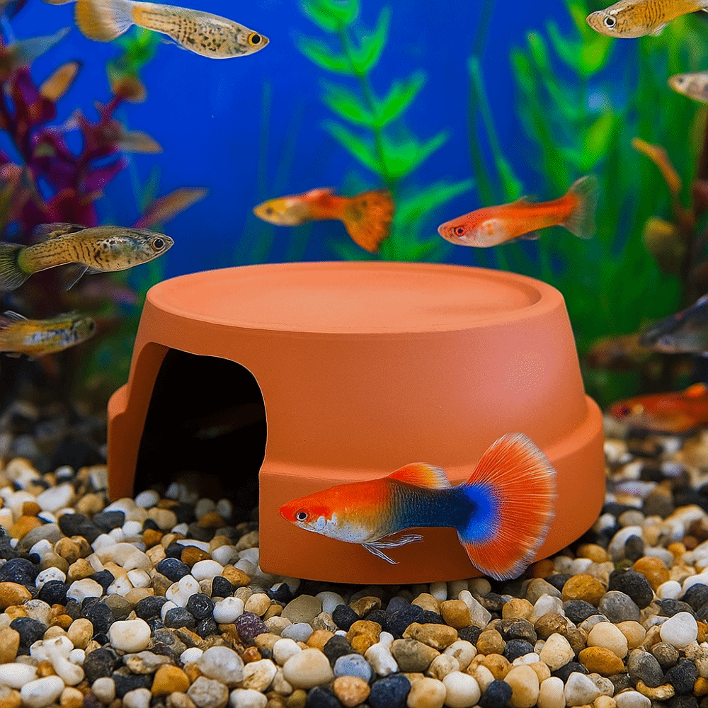 Multifunctional Ceramics Repti – обзор и цена Hide Cave Ceramic