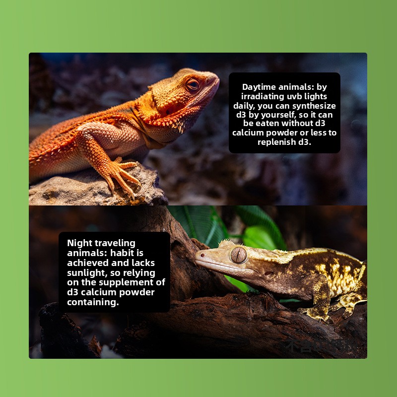 Reptizoo Reptile Calcium Powde – обзор и цена Vitamin D3 Reptile