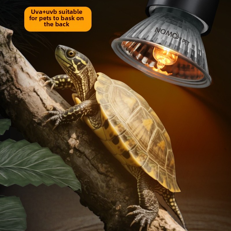 NOMOY 25/50/75w UVB 3.0 Reptil – обзор и цена Vitamin D3 Reptile