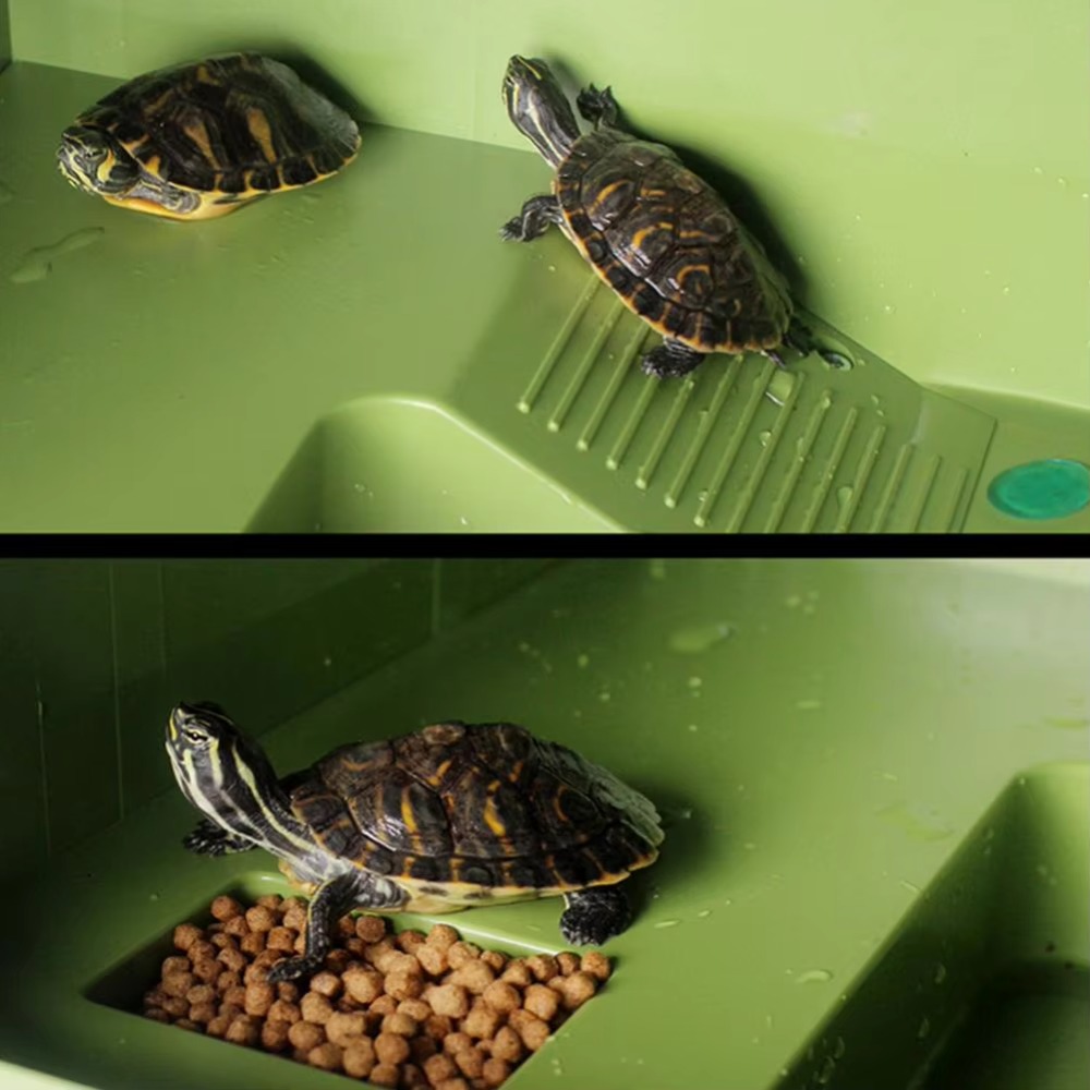 Water Land Slope Box Feeding C – обзор и цена Water Dish Reptile