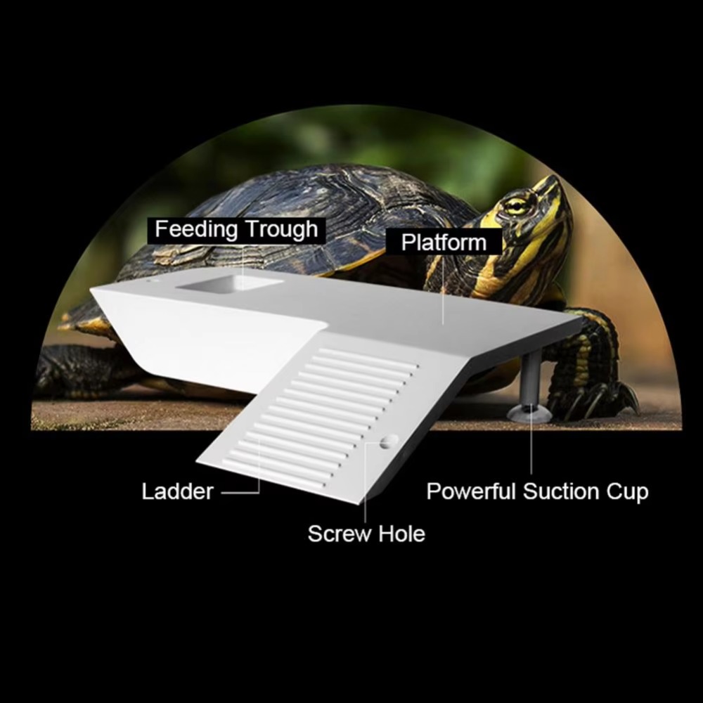 Water Land Slope Box Feeding C – обзор и цена Water Dish Reptile