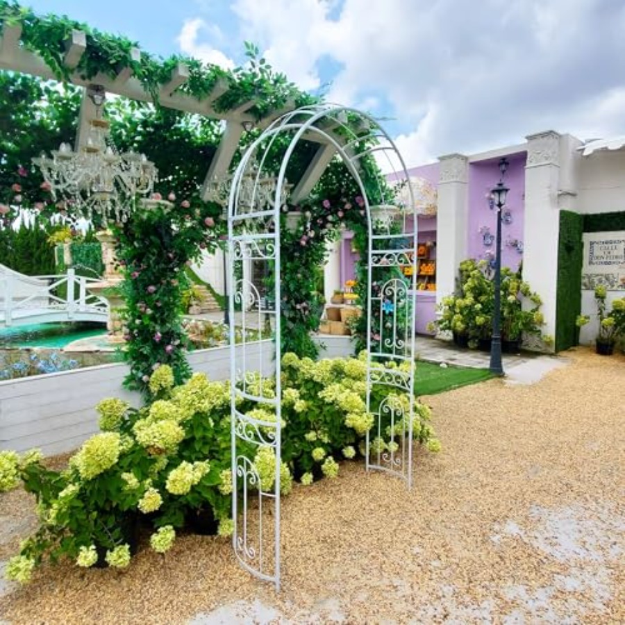 White metal wedding arch for g – обзор и цена Vine Climbing Plastic